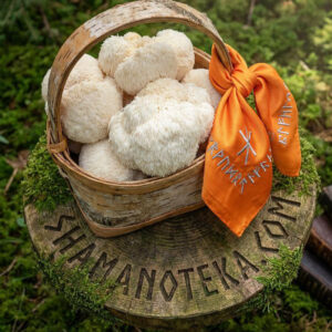 PREMIUM ЕЖОВИК ГРЕБЕНЧАТЫЙ - 100 гр.