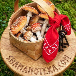 PREMIUM 🍄ШЛЯПКИ 2025 года сбора и сушки! - 50 гр.