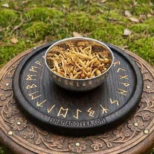 Гриб Эноки сушеный (Flammulina velutipes) 100 g.