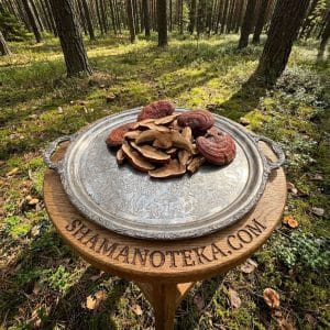 Грибы Рейши (Ganoderma lucidum) 100g.